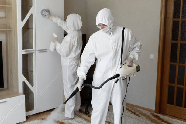 Affordable Sewage Cleanup solutions in Breckenridge, MI