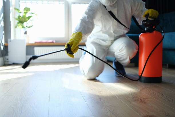 Reliable Sewage Cleanup contractor in Breckenridge, MI by Trauma Clean Pros